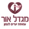 מגדלור