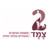 צמד